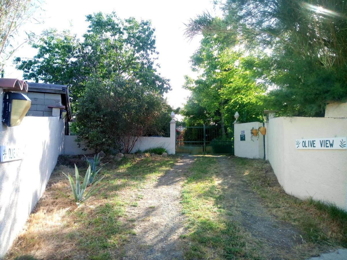 Olive View Villa Puissalicon Bagian luar foto