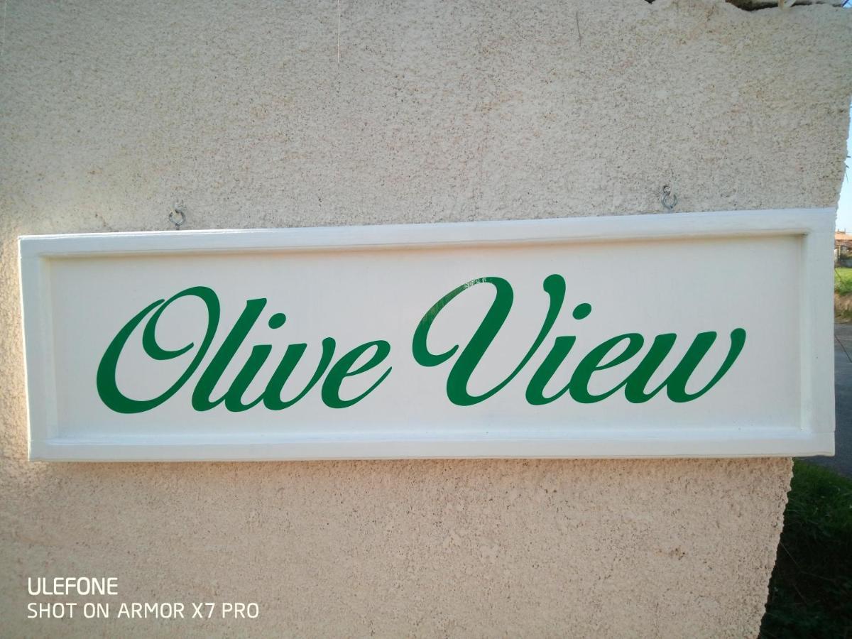 Olive View Villa Puissalicon Bagian luar foto